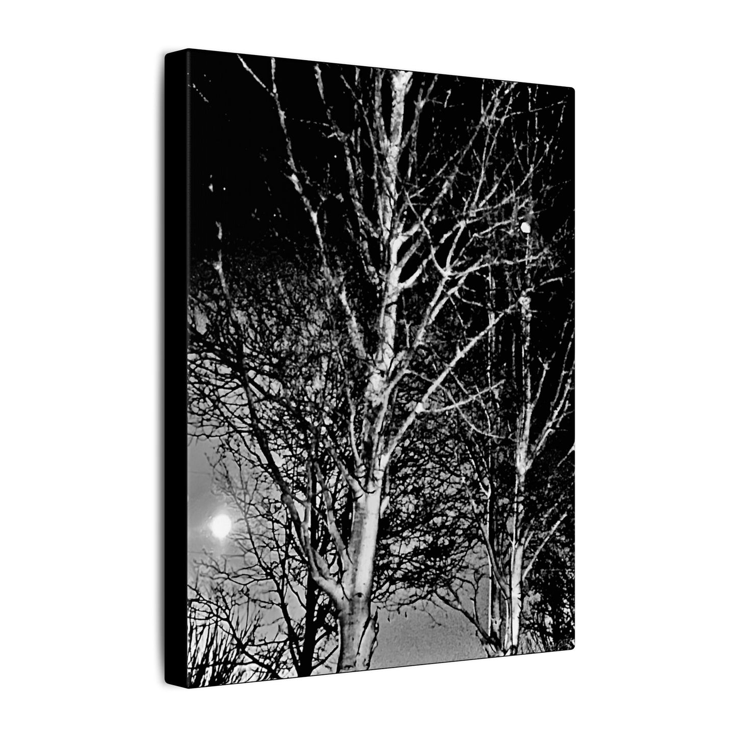 Canvas Wrap Worm Moon, Night Tree, Dark, Moon, Black and White, Photo, Artwork, Wall Art, Decor, Nature, Halloween, Gift, Eco, Matte Canvas