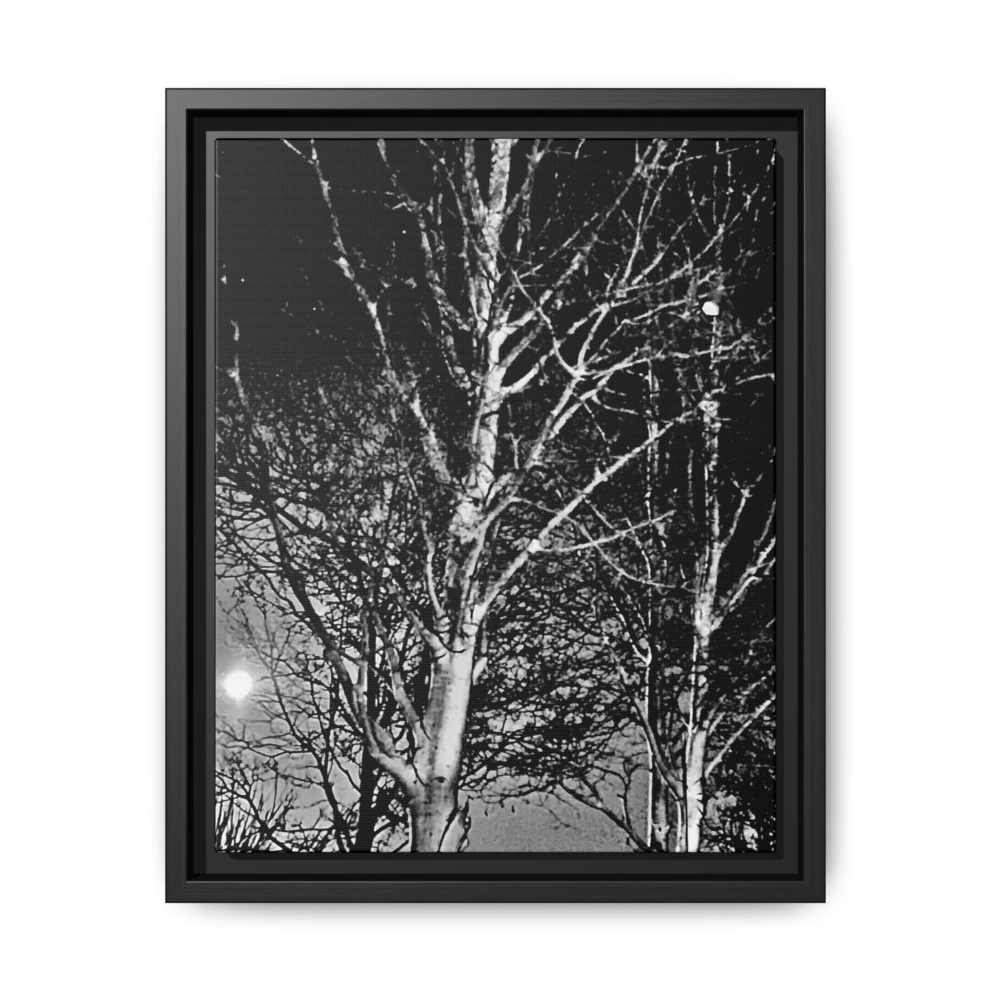 Black Frame Worm Moon, Night Tree, Dark, Black & White, Photo, Matte Canvas, Artwork, Wall Art, Decor, Nature, Gift, Eco, Halloween