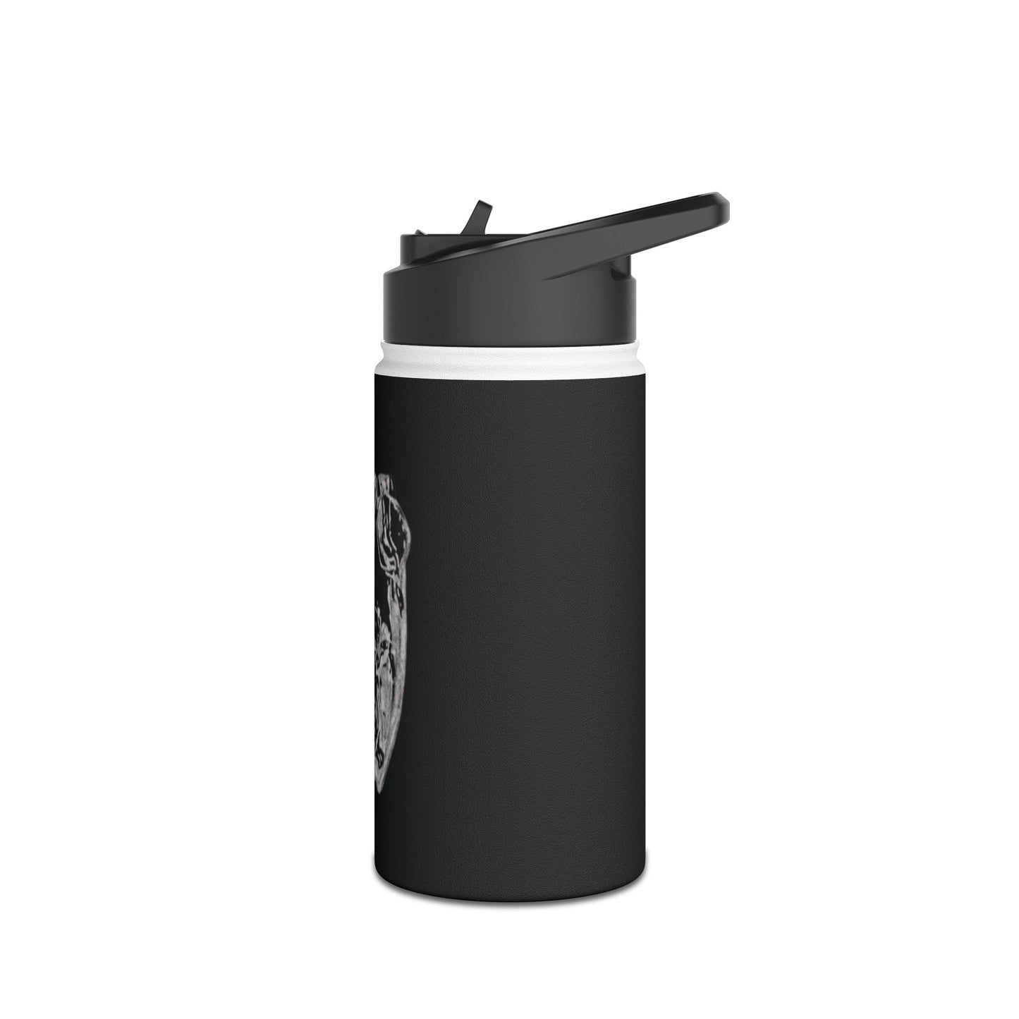 Frog Black Stainless Steel Water Bottle, Animals, Amphibians, Nature, Exercise, Eco Friendly, Gender Neutral, Men, Women, Kids, Gifts