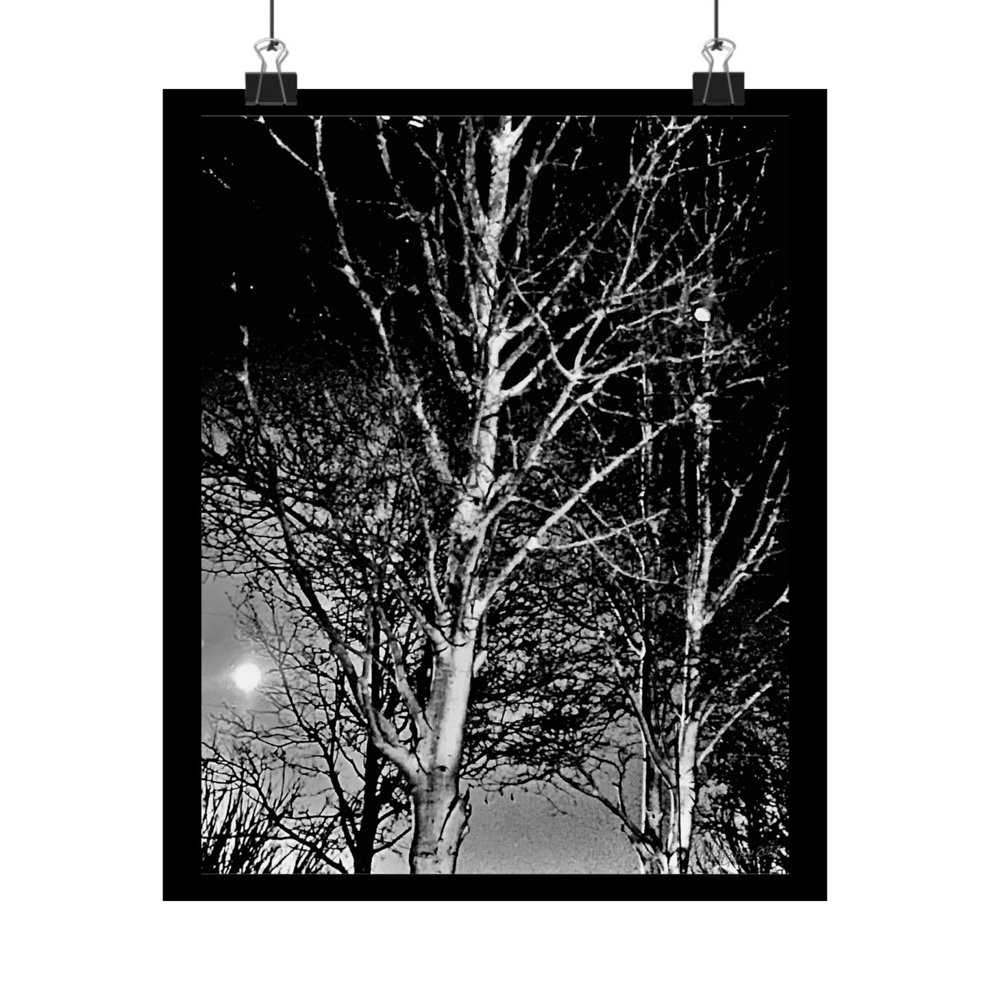 Worm Moon Night Tree Matte Vertical Poster, Black and White, Wall Art, Photo, Artwork, Decor, Gift, Nature, Halloween, Dark
