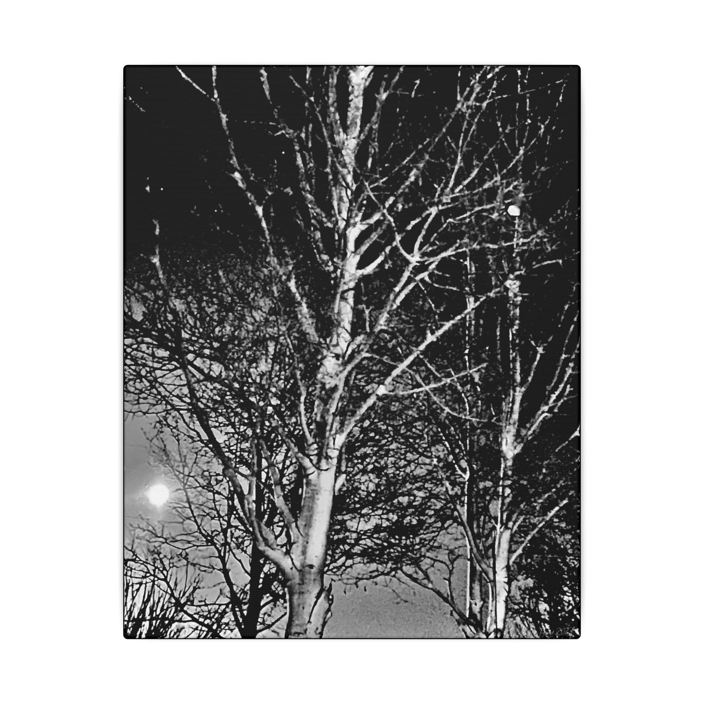 Canvas Wrap Worm Moon, Night Tree, Dark, Moon, Black and White, Photo, Artwork, Wall Art, Decor, Nature, Halloween, Gift, Eco, Matte Canvas