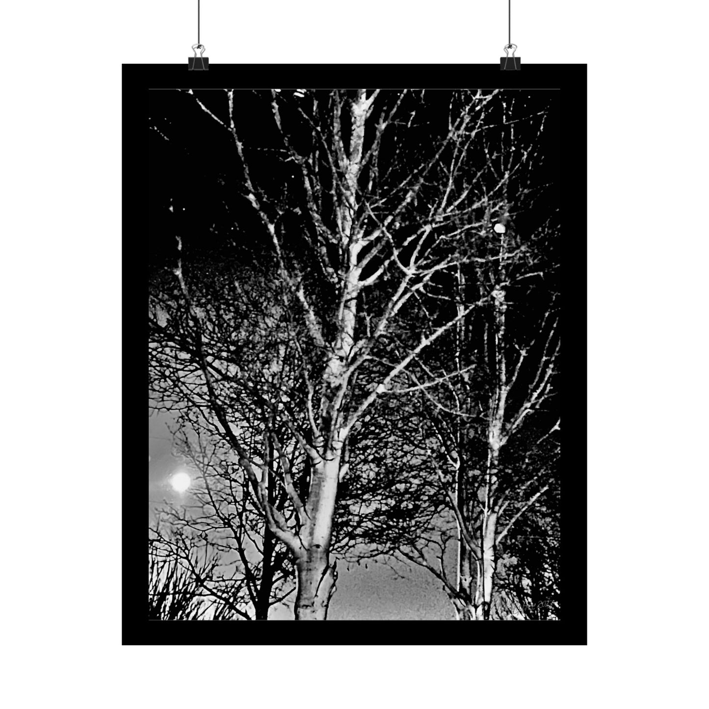 Worm Moon Night Tree Matte Vertical Poster, Black and White, Wall Art, Photo, Artwork, Decor, Gift, Nature, Halloween, Dark