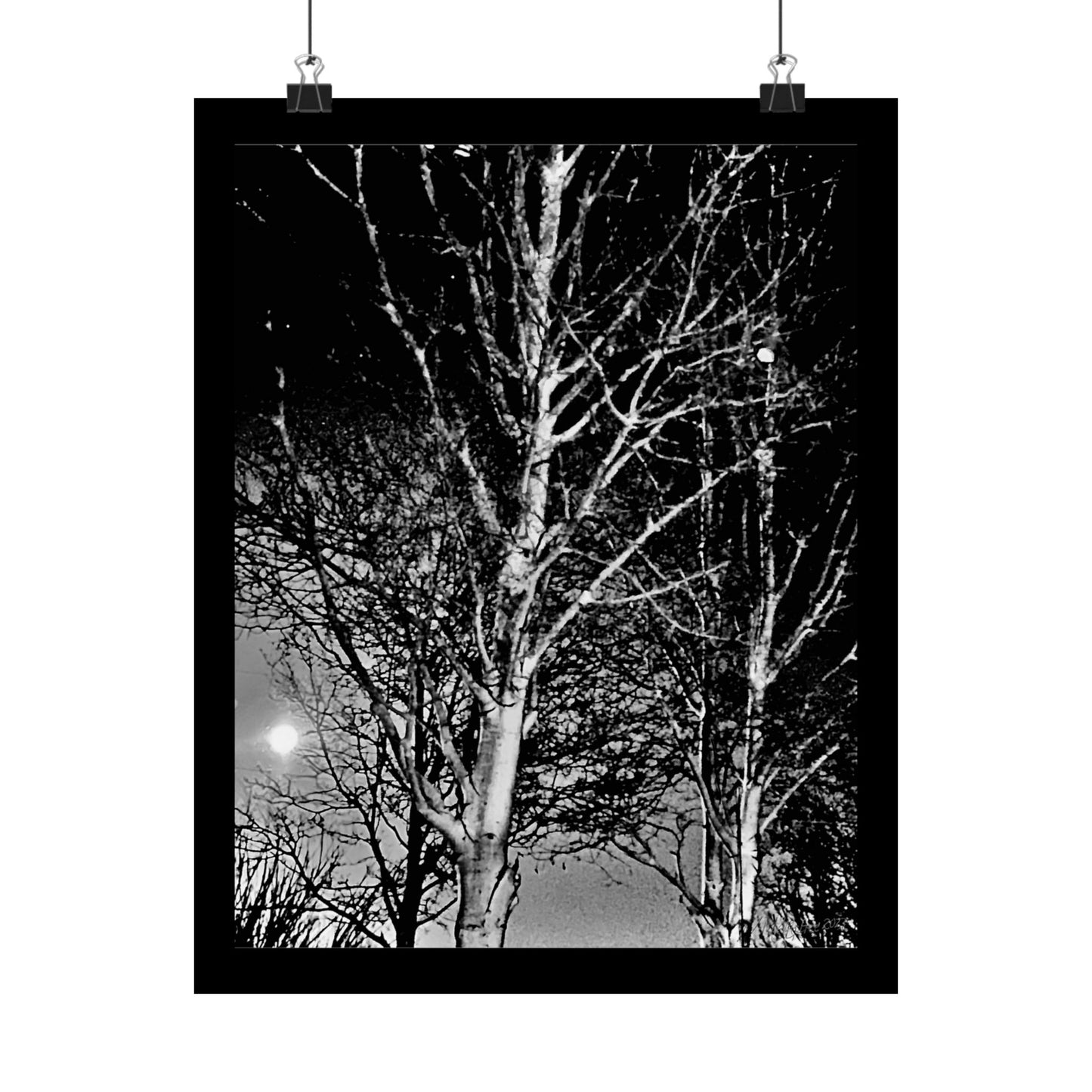 Worm Moon Night Tree Matte Vertical Poster, Black and White, Wall Art, Photo, Artwork, Decor, Gift, Nature, Halloween, Dark