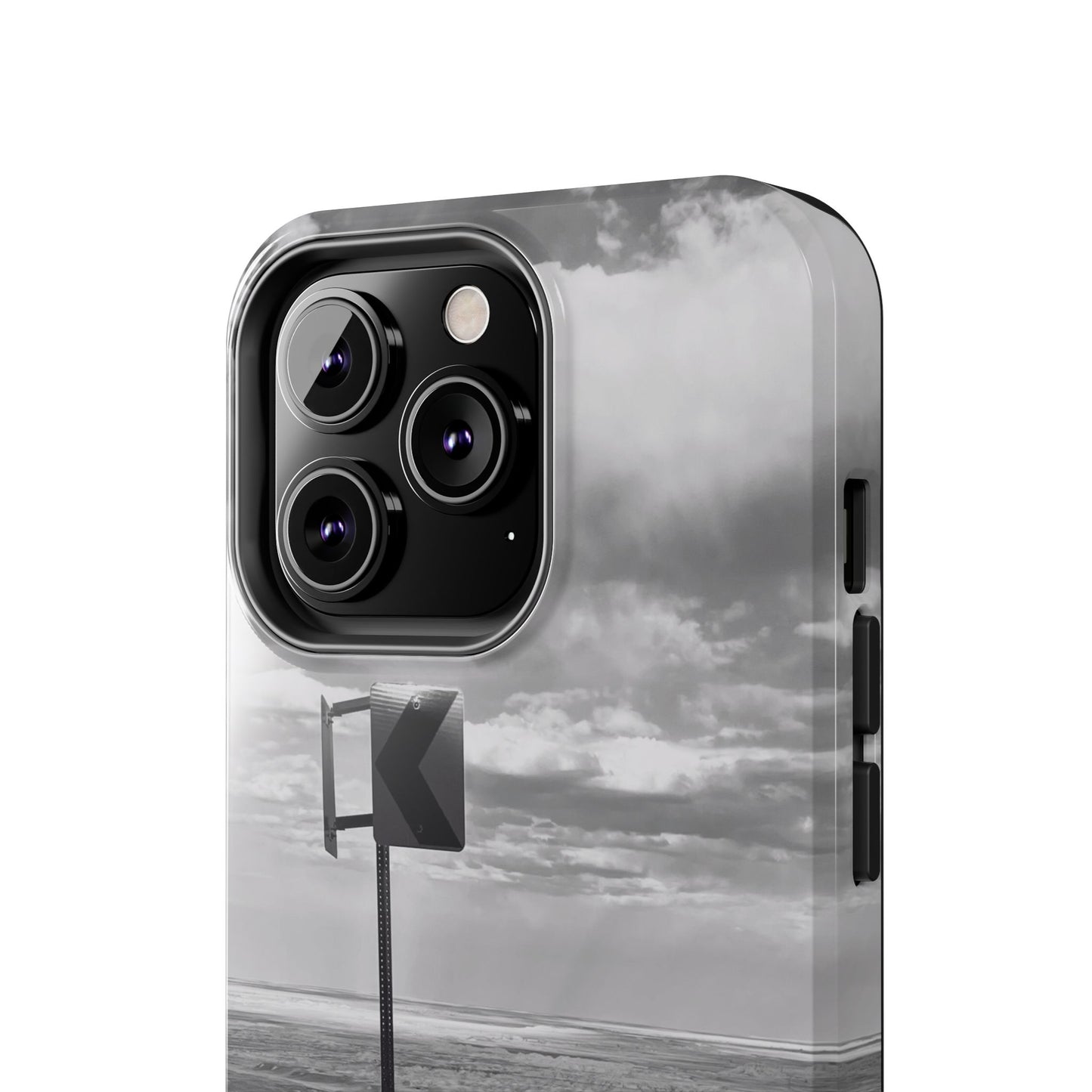 Road Sign Tough Phone Cases, iPhone & Samsung cases, wireless charging, black and white photo, nature, original art, gift birthday Christmas