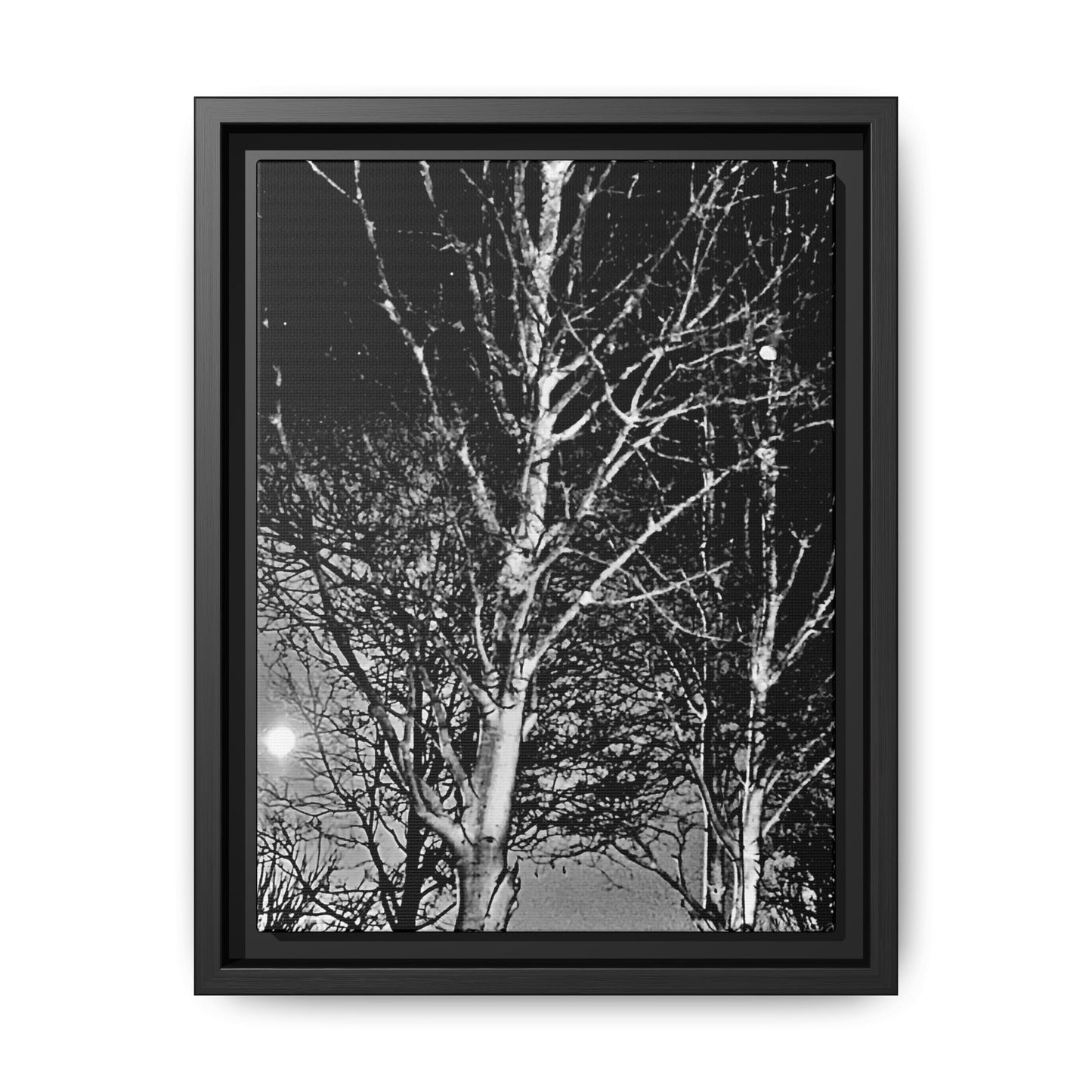 Black Frame Worm Moon, Night Tree, Dark, Black & White, Photo, Matte Canvas, Artwork, Wall Art, Decor, Nature, Gift, Eco, Halloween