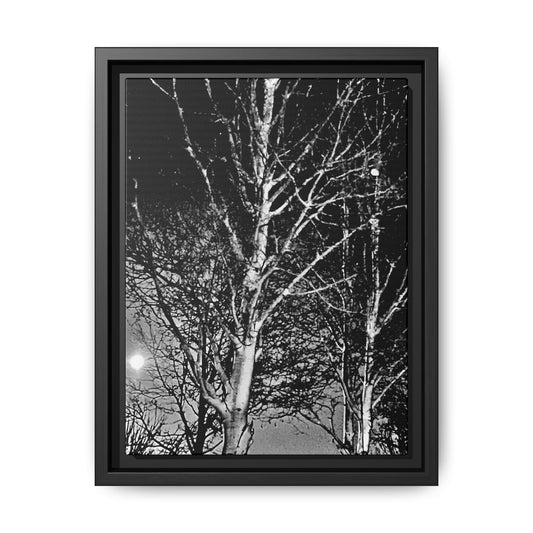 Black Frame Worm Moon, Night Tree, Dark, Black & White, Photo, Matte Canvas, Artwork, Wall Art, Decor, Nature, Gift, Eco, Halloween