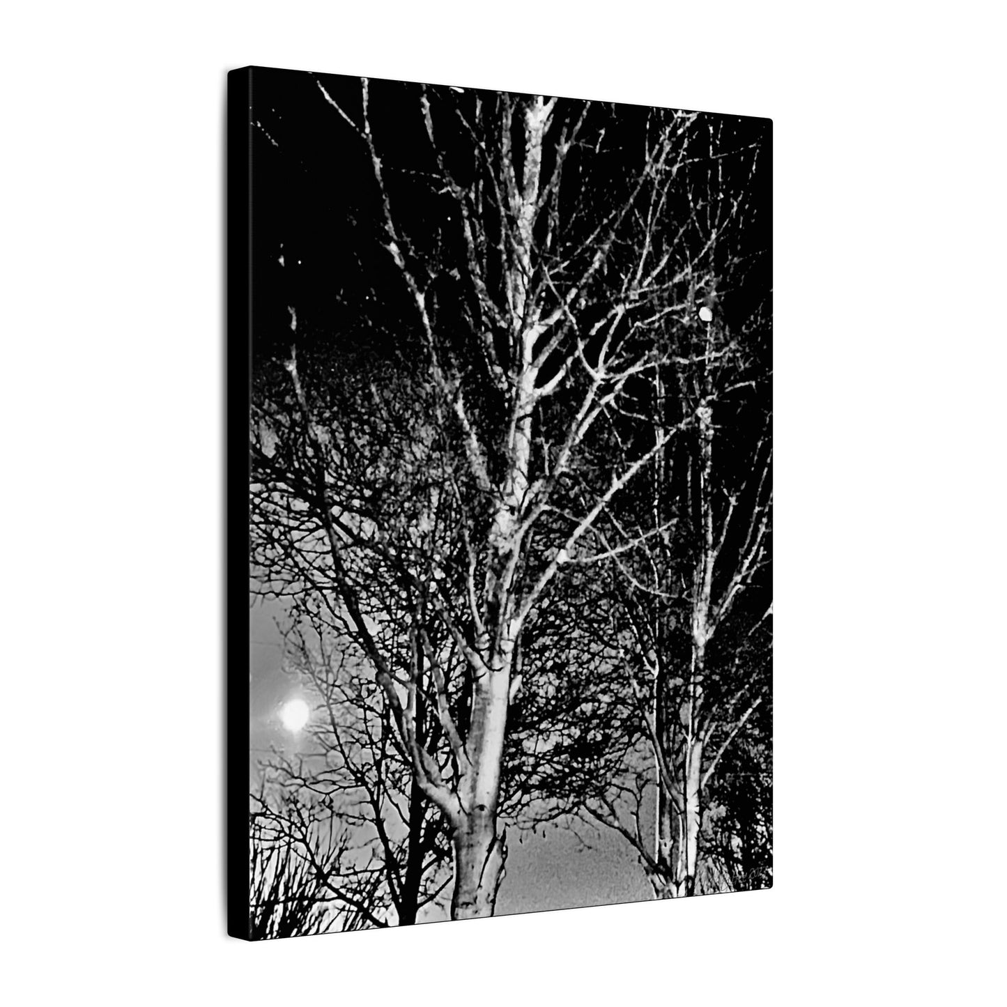 Canvas Wrap Worm Moon, Night Tree, Dark, Moon, Black and White, Photo, Artwork, Wall Art, Decor, Nature, Halloween, Gift, Eco, Matte Canvas