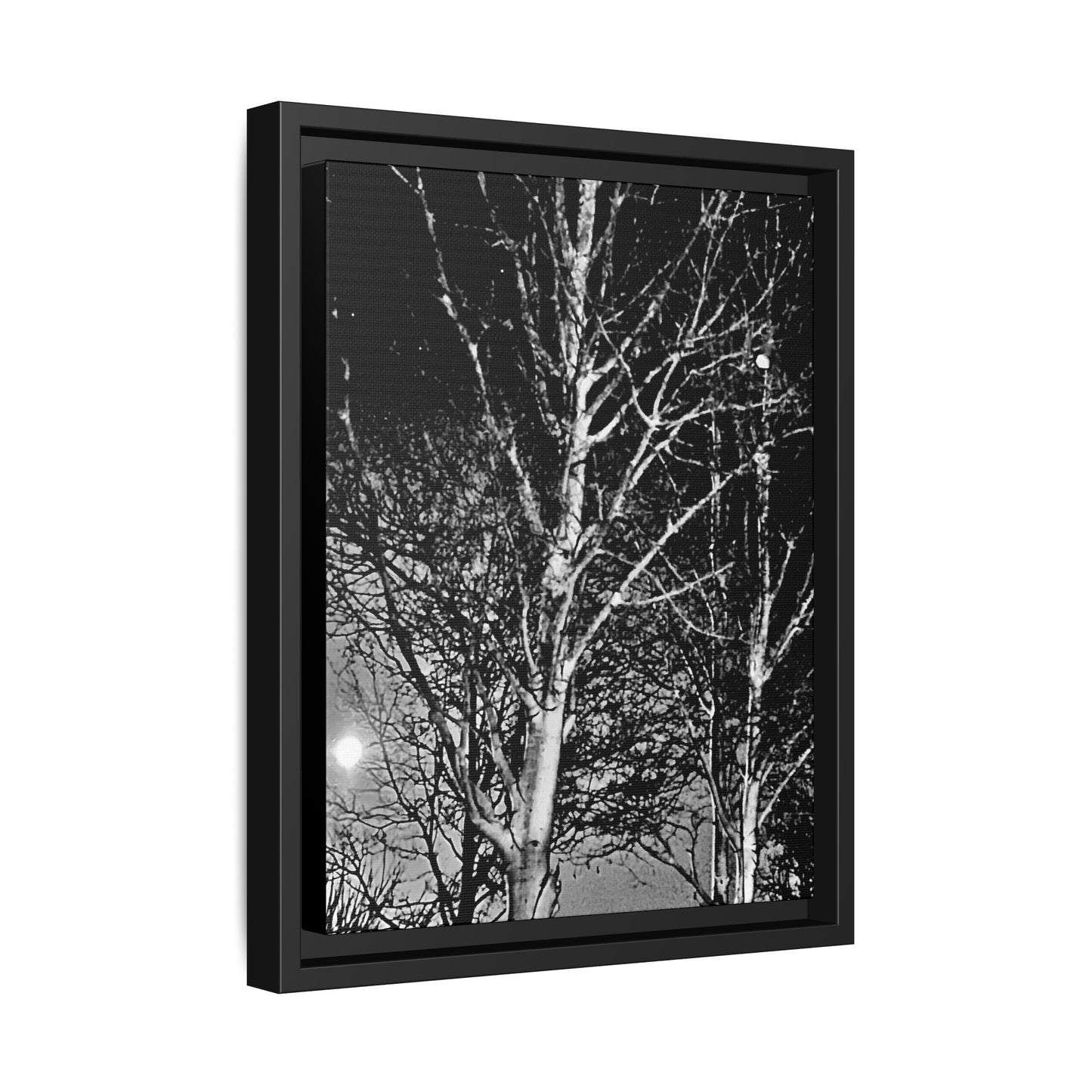 Black Frame Worm Moon, Night Tree, Dark, Black & White, Photo, Matte Canvas, Artwork, Wall Art, Decor, Nature, Gift, Eco, Halloween