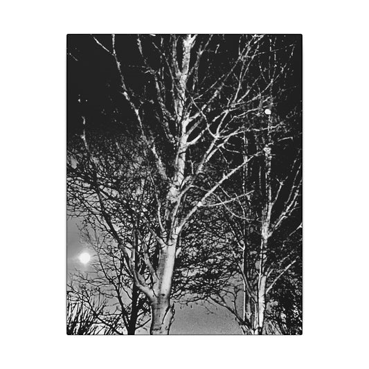 Canvas Wrap Worm Moon, Night Tree, Dark, Moon, Black and White, Photo, Artwork, Wall Art, Decor, Nature, Halloween, Gift, Eco, Matte Canvas