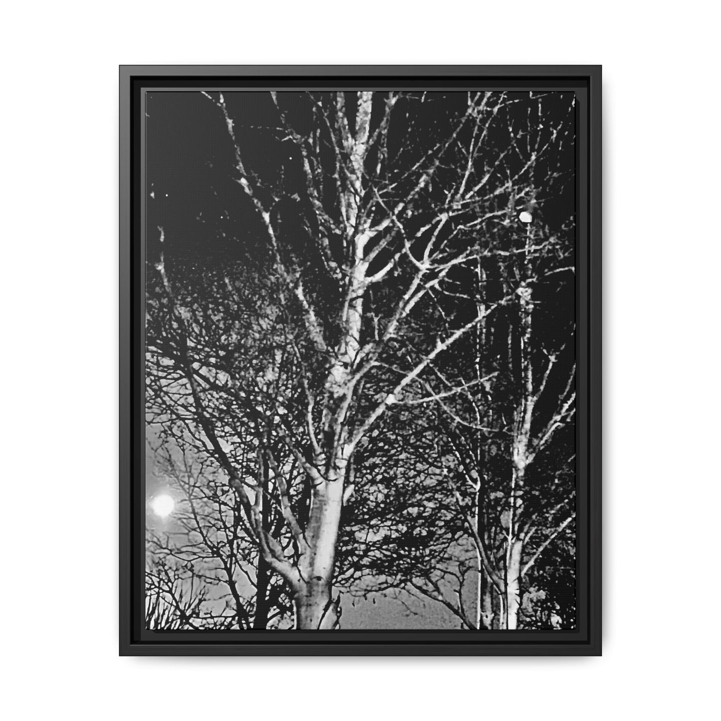 Black Frame Worm Moon, Night Tree, Dark, Black & White, Photo, Matte Canvas, Artwork, Wall Art, Decor, Nature, Gift, Eco, Halloween