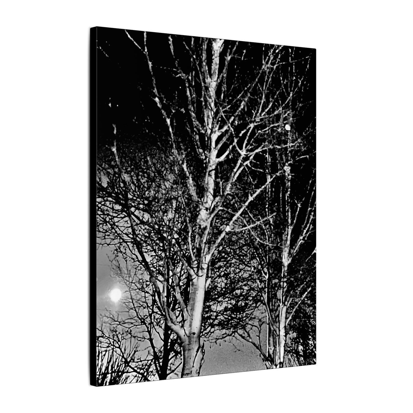 Canvas Wrap Worm Moon, Night Tree, Dark, Moon, Black and White, Photo, Artwork, Wall Art, Decor, Nature, Halloween, Gift, Eco, Matte Canvas
