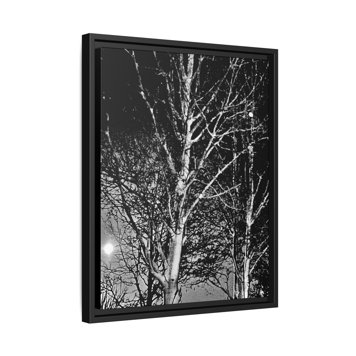 Black Frame Worm Moon, Night Tree, Dark, Black & White, Photo, Matte Canvas, Artwork, Wall Art, Decor, Nature, Gift, Eco, Halloween