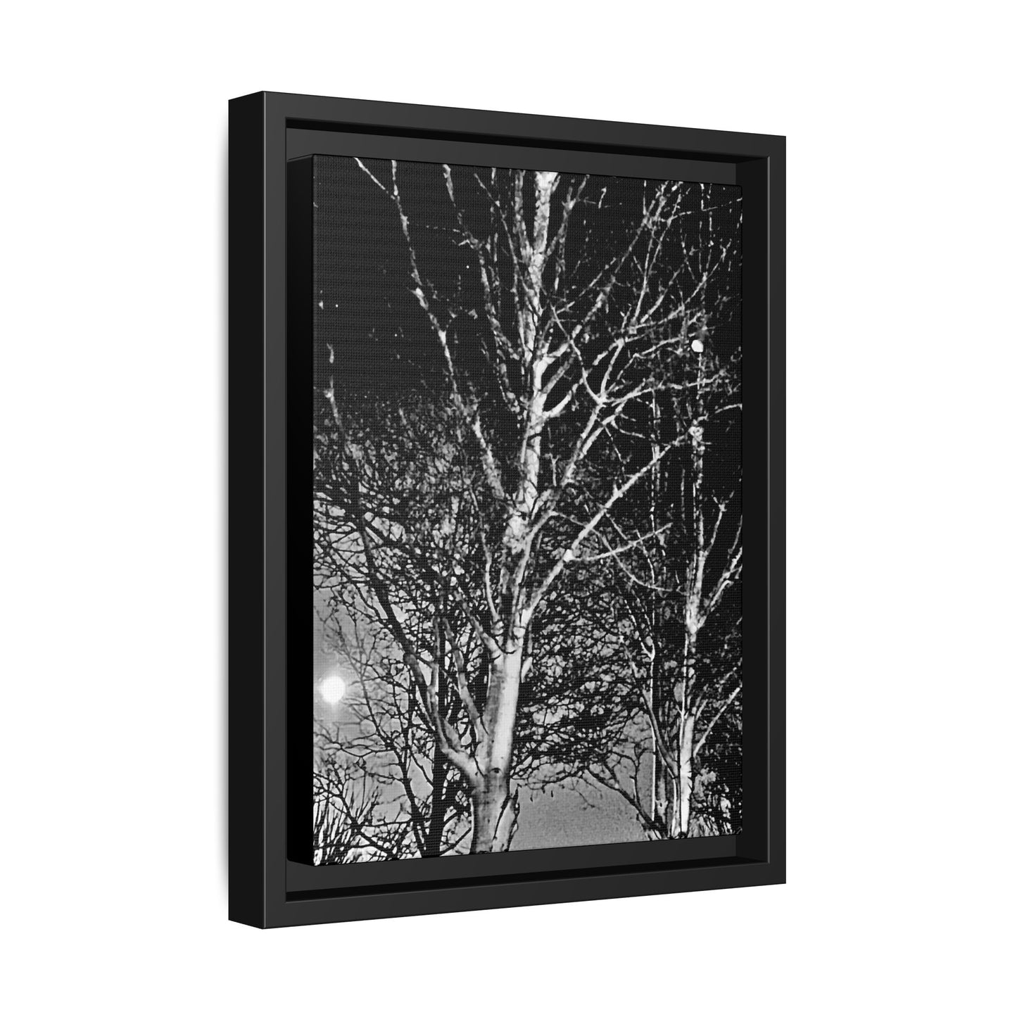 Black Frame Worm Moon, Night Tree, Dark, Black & White, Photo, Matte Canvas, Artwork, Wall Art, Decor, Nature, Gift, Eco, Halloween