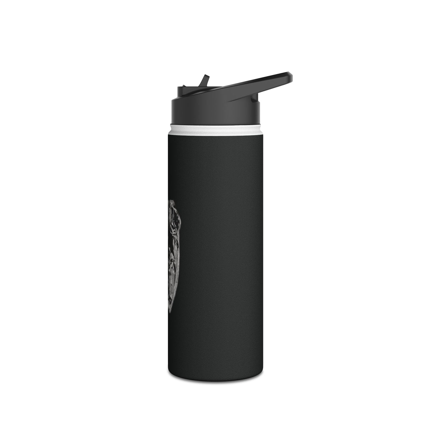 Frog Black Stainless Steel Water Bottle, Animals, Amphibians, Nature, Exercise, Eco Friendly, Gender Neutral, Men, Women, Kids, Gifts